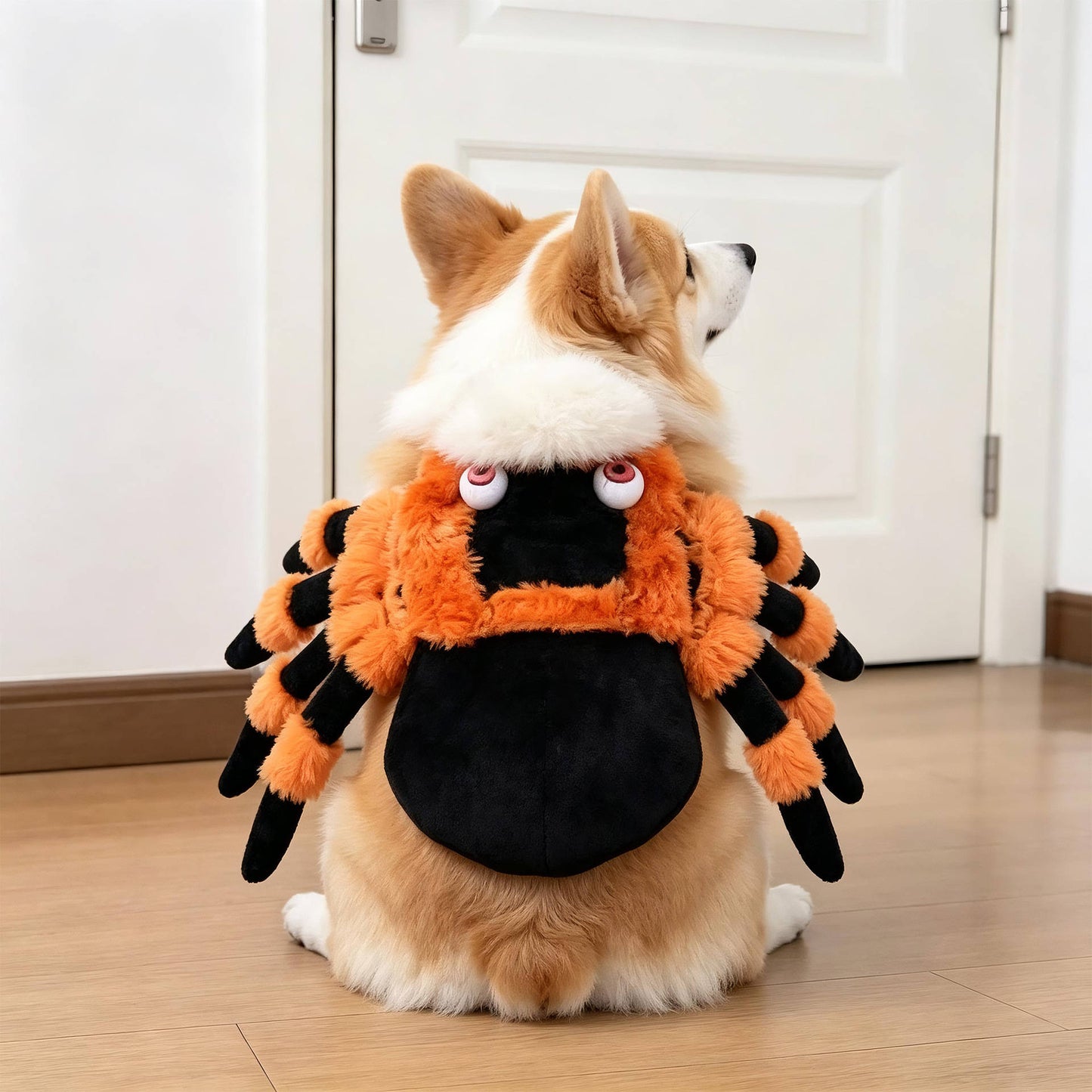 Clown Dog Costume, Creepy Halloween Costume with Fake Arms and 3D Walking Look for Trick or Treating