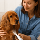 Rechargeable Pet Trimmer with Ceramic Blades and Built-in Light, 35 Decibel Quiet Motor