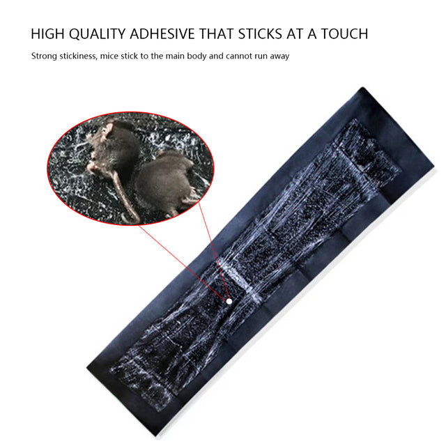 Extra Large Sticky Rodent Pads with Polyurethane Adhesive, Pack of 5