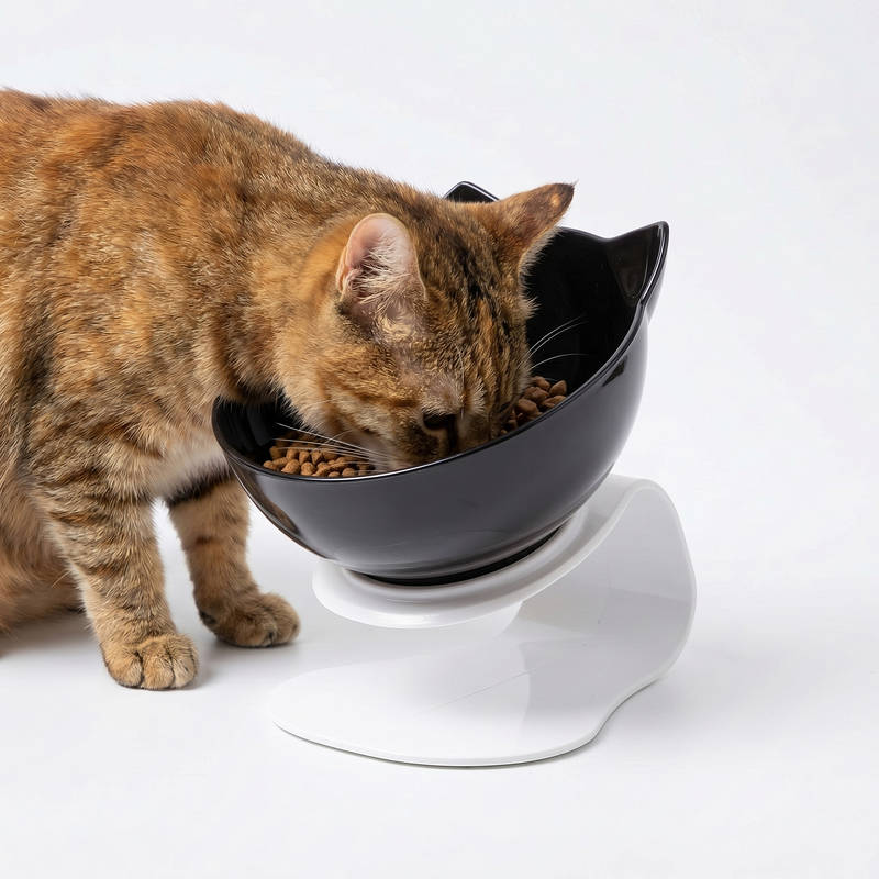 Anti Vomiting Cat Bowl Elevated, Orthopedic Pet Feeding Bowl for Cats Reduces Vomiting Healthy Eating