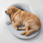 Cooling Dog Bed with Heat-Absorbing Fiber and Orthopedic Neck Support, Machine Washable