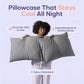 2 Pack Cooling Pillowcase, Silky Smooth Wrinkle Free Sleep Enhancer, Breathable Soft Cases for Night Sweat Relief