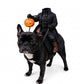 Headless Horseman Pet Costume, Halloween Costume for Cats and Dogs, Parties and Dress Up