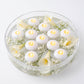 12 Pack Floating LED Tea Candles, Water Activated Waterproof Flameless Lights for Pools, Parties & Camping