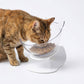 Anti Vomiting Cat Bowl Elevated, Orthopedic Pet Feeding Bowl for Cats Reduces Vomiting Healthy Eating