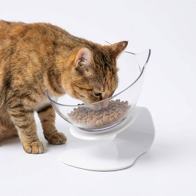 Anti Vomiting Cat Bowl Elevated, Orthopedic Pet Feeding Bowl for Cats Reduces Vomiting Healthy Eating
