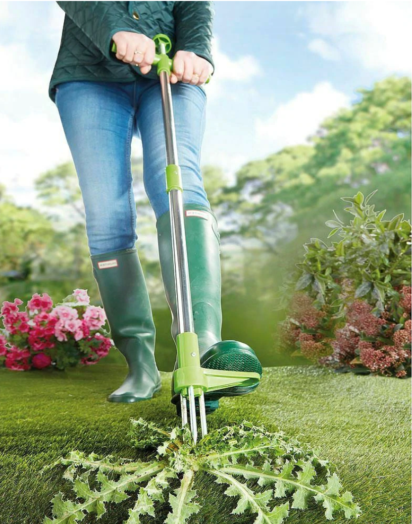 Standing Weed Puller with Three Pronged Grip and Spring Release, 36 Inch Handle