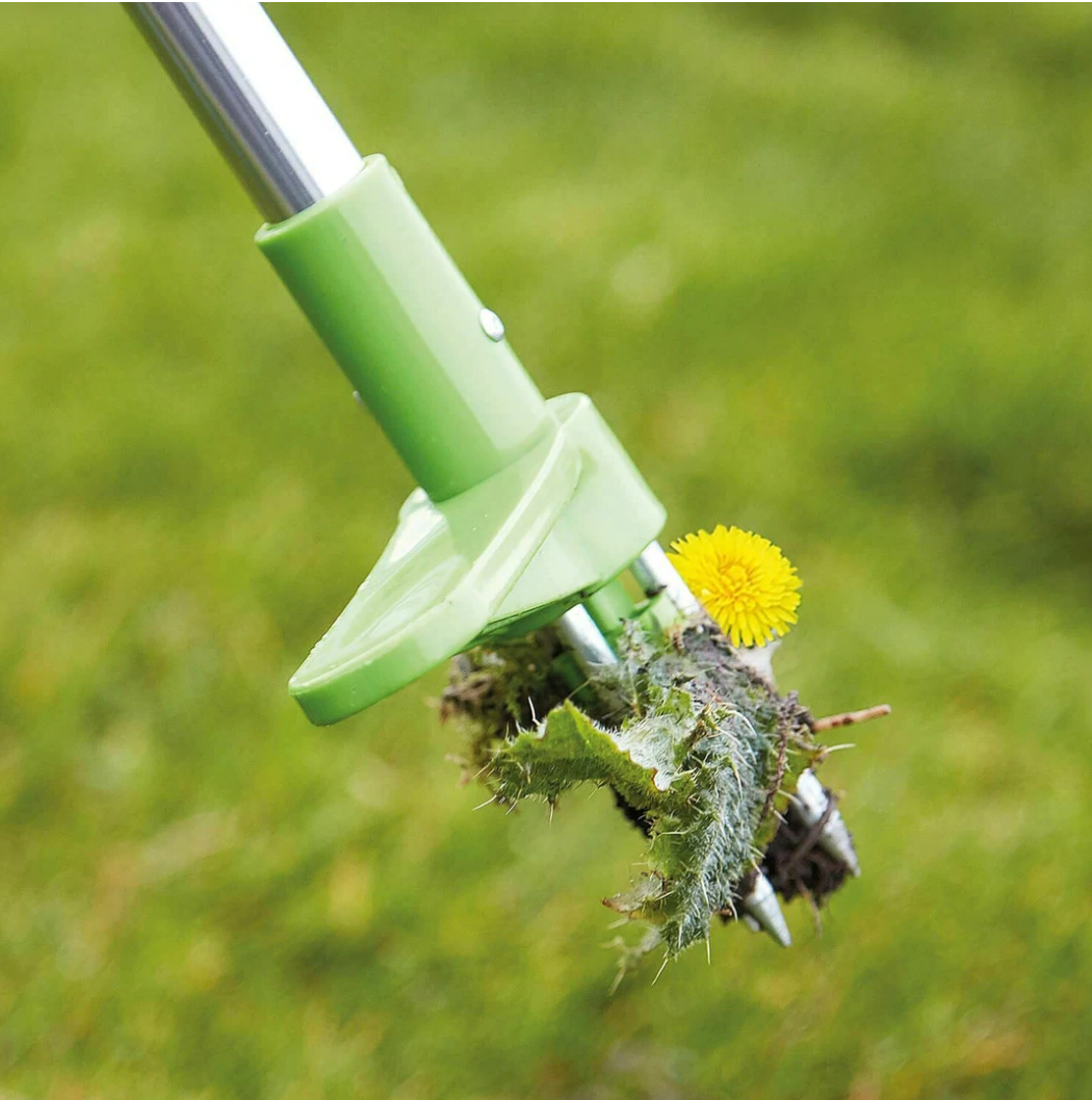 Standing Weed Puller with Three Pronged Grip and Spring Release, 36 Inch Handle