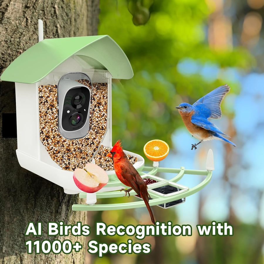Mygametables Smart Bird Feeder Camera with AI Recognition and Solar Power