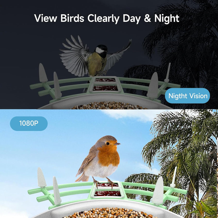 Mygametables Smart Bird Feeder Camera with AI Recognition and Solar Power