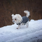 Mygametables Waterproof Winter Dog Jacket Sherpa Fleece Lined Built-In Harness
