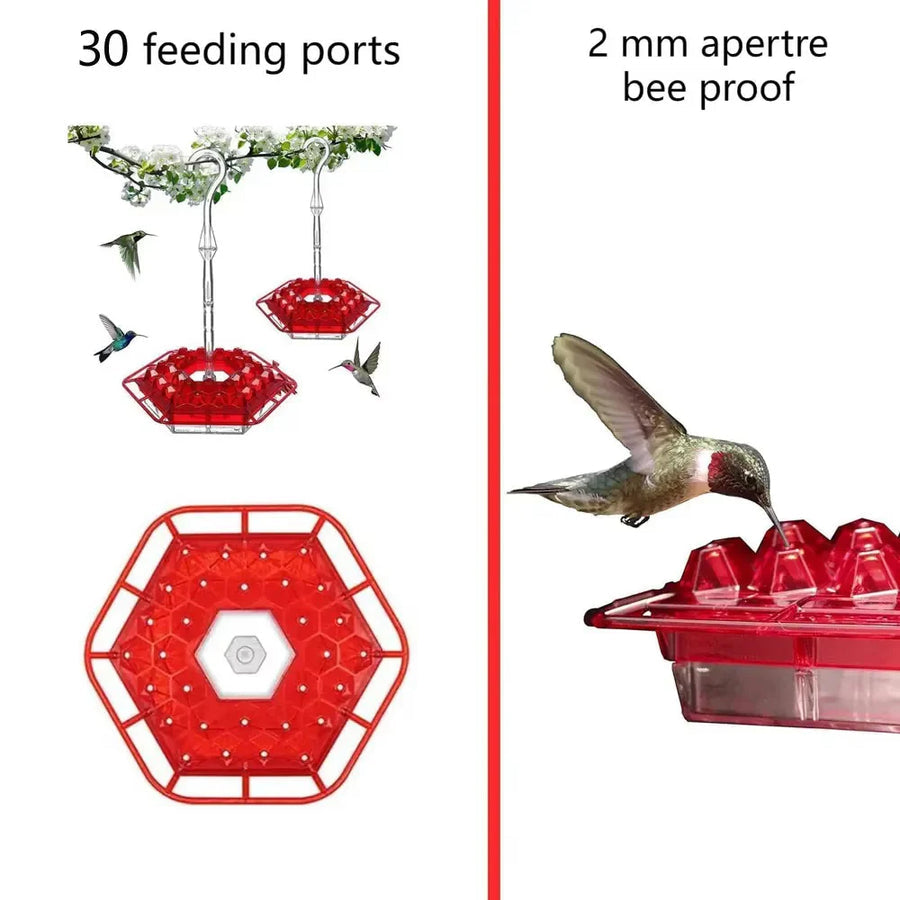 Mygametables Hummingbird Feeder with Ant Proof Hanging Perch