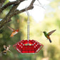 Mygametables Hummingbird Feeder with Ant Proof Hanging Perch
