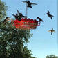 Mygametables Hummingbird Feeder with Ant Proof Hanging Perch