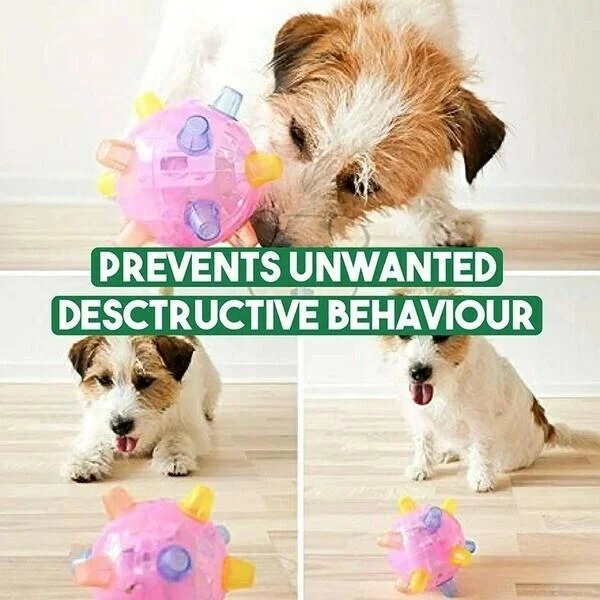 Interactive LED Jumping Activation Ball for Dogs