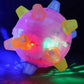 Interactive LED Jumping Activation Ball for Dogs