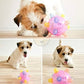 Interactive LED Jumping Activation Ball for Dogs