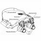 MGT Headband Magnifier with LED Light and 8 Interchangeable Lenses