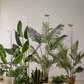MGT Grow Light for Indoor Plants Full Spectrum LED