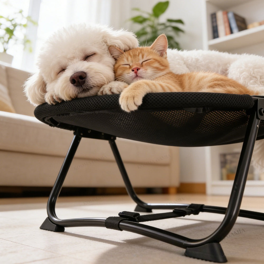 Elevated Pet Bed with Breathable Mesh Platform and Iron Frame, Foldable Design