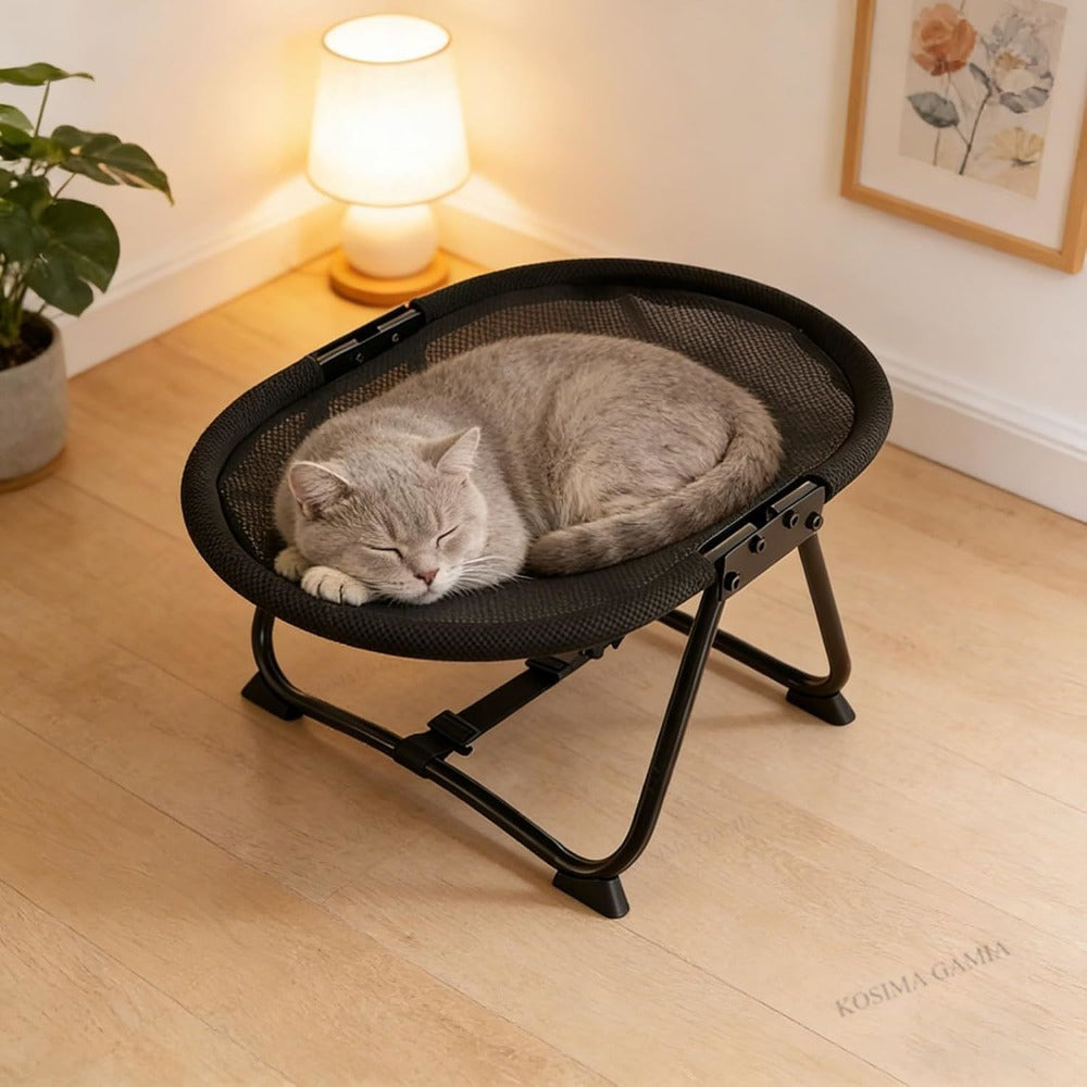 Elevated Pet Bed with Breathable Mesh Platform and Iron Frame, Foldable Design