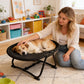 Elevated Pet Bed with Breathable Mesh Platform and Iron Frame, Foldable Design