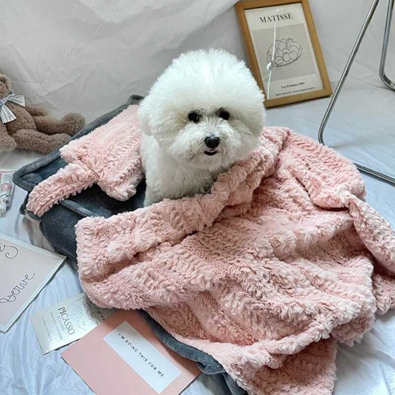 Plush Pet Bed with Raised Border and Matching Pillow, Machine Washable