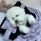 Plush Pet Bed with Raised Border and Matching Pillow, Machine Washable