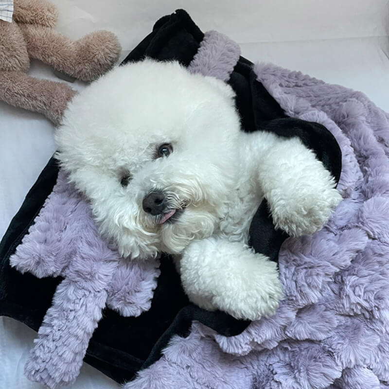 Plush Pet Bed with Raised Border and Matching Pillow, Machine Washable