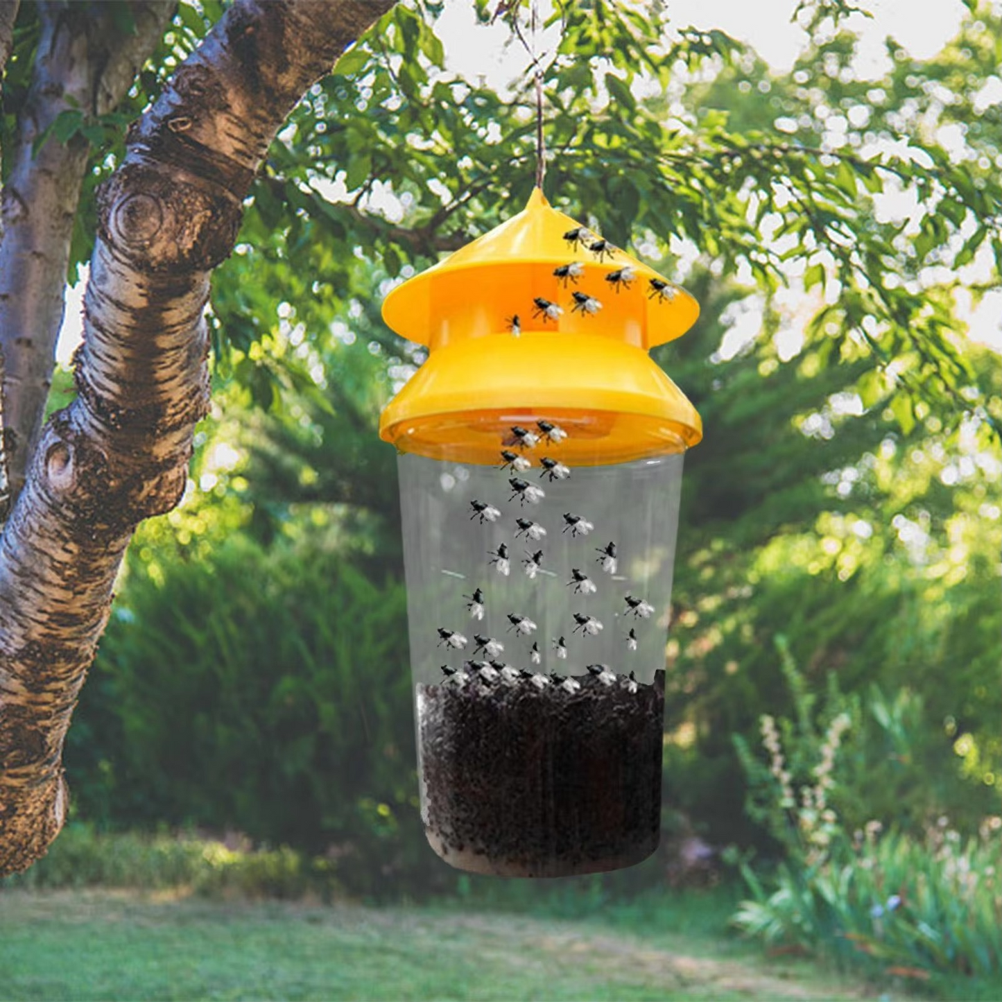 Outdoor Reusable Fly Trap for Patios, Gardens, and Backyards