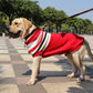 Large Dog Christmas Sweater with Striped Knit Pattern and Seasonal Design