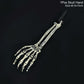 Realistic Zombie Skeleton Garden Halloween Decor - Image 8