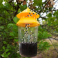 Outdoor Reusable Fly Trap for Patios, Gardens, and Backyards