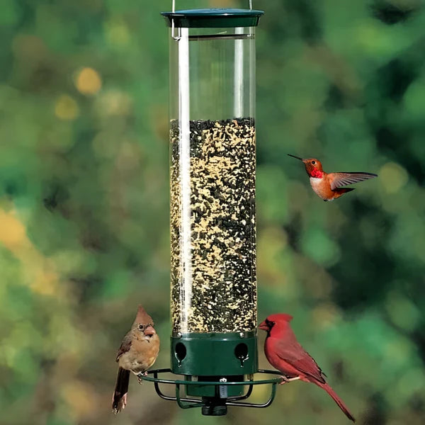 Squirrel Proof Bird Feeder with Weight Activated Spinning Perch
