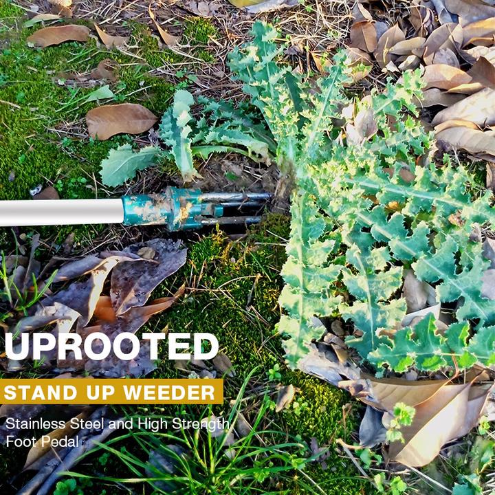 Standing Weed Puller with Triple Steel Claws and Foot Pedal, 50cm Handle