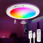 Ceiling Light Rechargeable Motion Sensor Light Indoor Spaces - LICHTZOONE