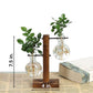 Hydroponic Plant Propagation Vase with Wooden Frame and Clear Glass Containers
