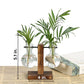 Hydroponic Plant Propagation Vase with Wooden Frame and Clear Glass Containers