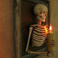 Framed Skeleton Torso Wall Display with Flashing Candle Bulb and Wooden Frame
