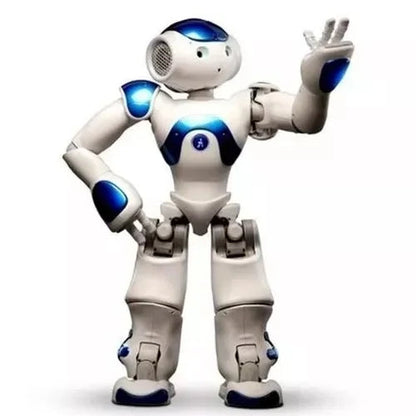 Humanoid Robot with Lifelike Motion and Dual Cameras, Remote Control