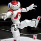 Humanoid Robot with Lifelike Motion and Dual Cameras, Remote Control