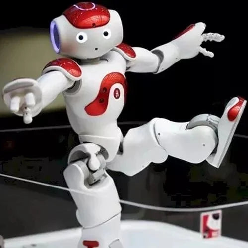 Humanoid Robot with Lifelike Motion and Dual Cameras, Remote Control
