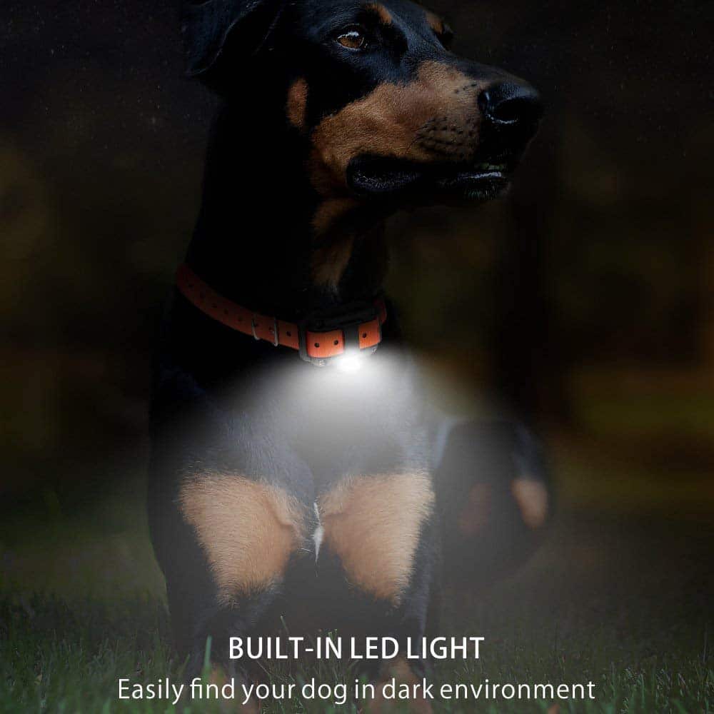Remote Dog Training Collar with 800M Range and 99 Intensity Levels, Waterproof