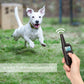 Remote Dog Training Collar with 800M Range and 99 Intensity Levels, Waterproof