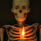 Framed Skeleton Torso Wall Display with Flashing Candle Bulb and Wooden Frame