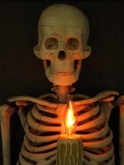Framed Skeleton Torso Wall Display with Flashing Candle Bulb and Wooden Frame