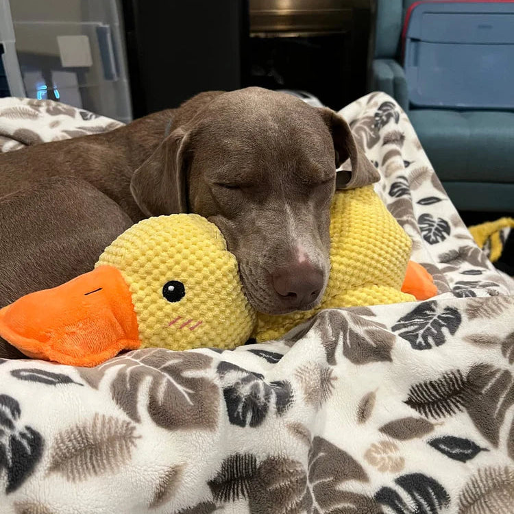 Calming Durable Duck Toy for Dogs