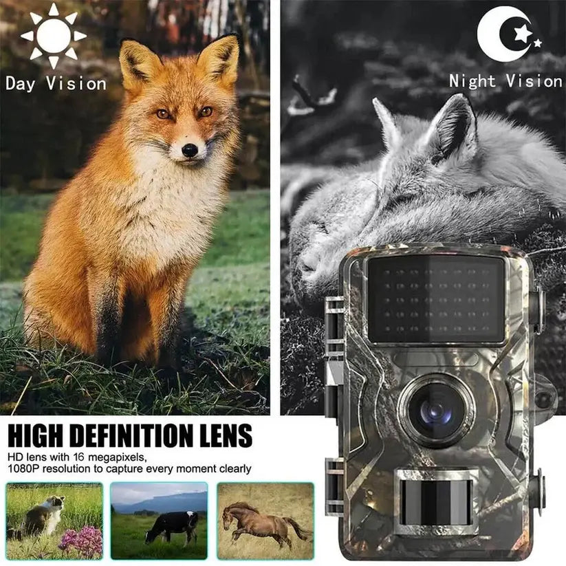 Trail Camera with No-Glow Infrared and 1080P HD Video, 16MP Photos All Vera Mart