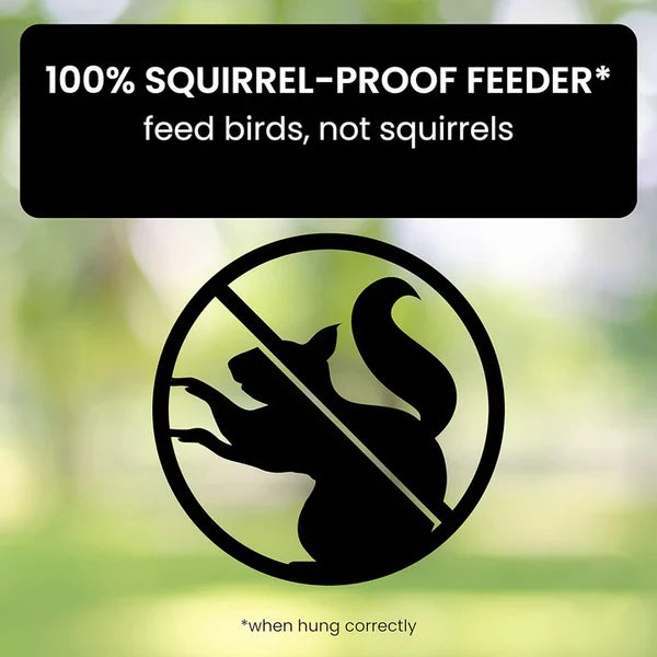 Squirrel Proof Bird Feeder with Weight Activated Spinning Perch