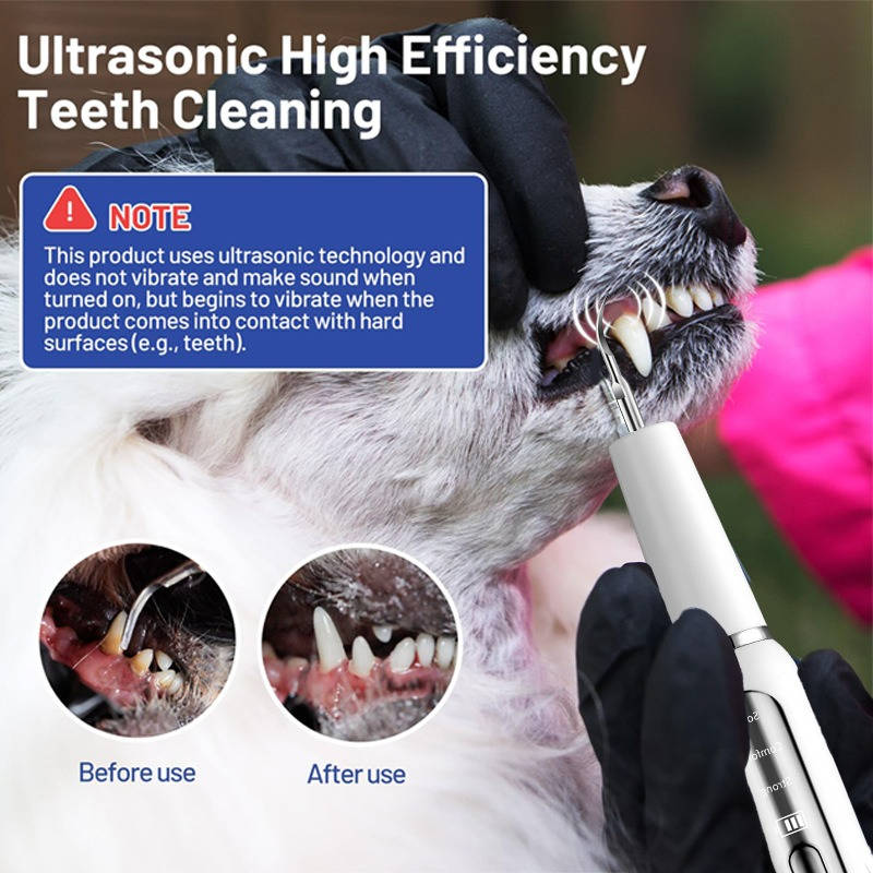 Rechargeable Dog Dental Cleaning Tool with LED Light and Gum Sensor